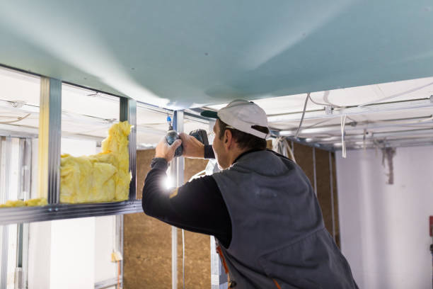 Best Commercial Insulation in Urania, LA