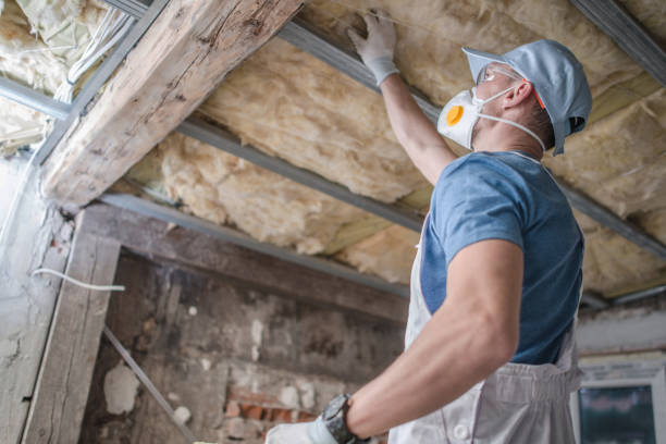 Best Energy Efficiency Solutions in Urania, LA